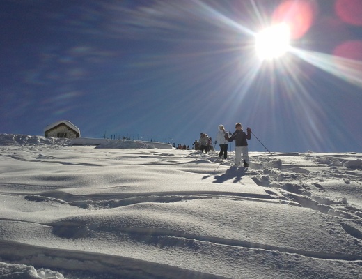 Bestiali Winter Camp '26