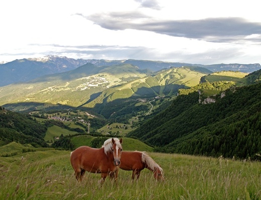 Escursione con vista sull'Altopiano di Brentonico