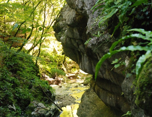 Torrente Sorna