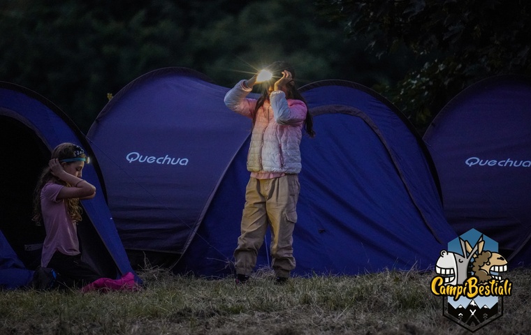Campi Bestiali Estate 26