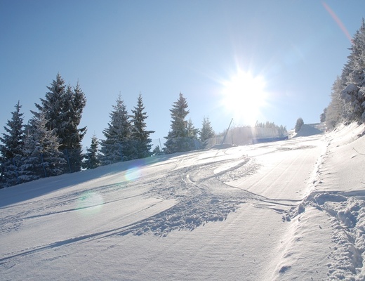 Il bosco innevato del Monte Baldo