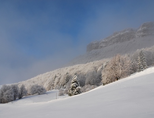 Bestiali Winter Camp '26