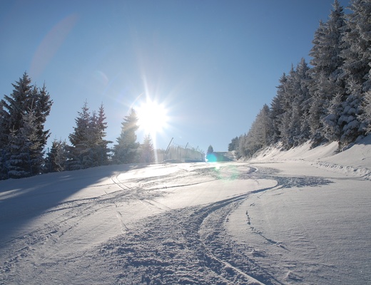 Bestiali Winter Camp '26