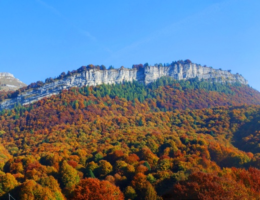 Colori autunnali