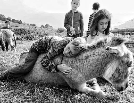 Prendersi cura degli animali