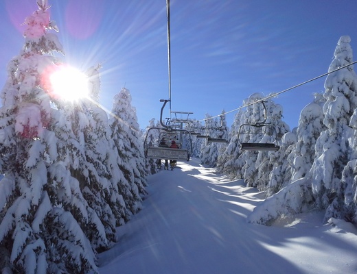 Bestiali Winter Camp '26