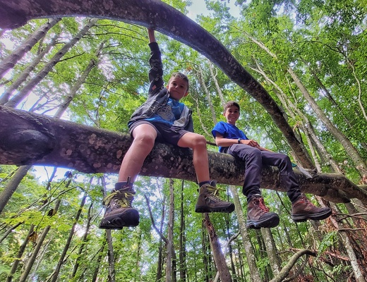 Avventure nel bosco