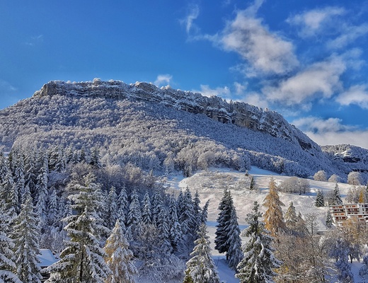 La vista invernale dalle camere dell'ala nord