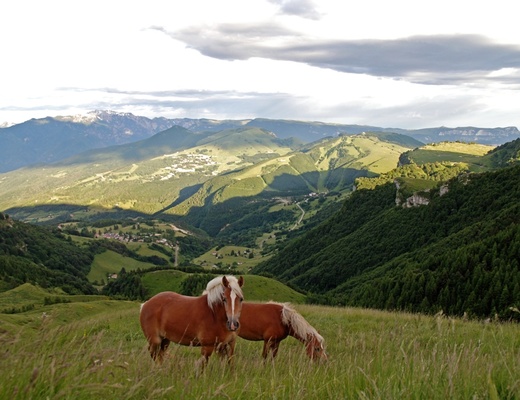 L'Hotel Bucaneve visto dal Monte Campo.